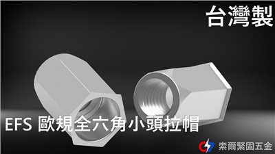 EFS 歐規全六角小頭拉帽